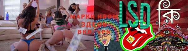 а пвп мука Нея