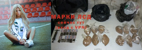 индика Новозыбков
