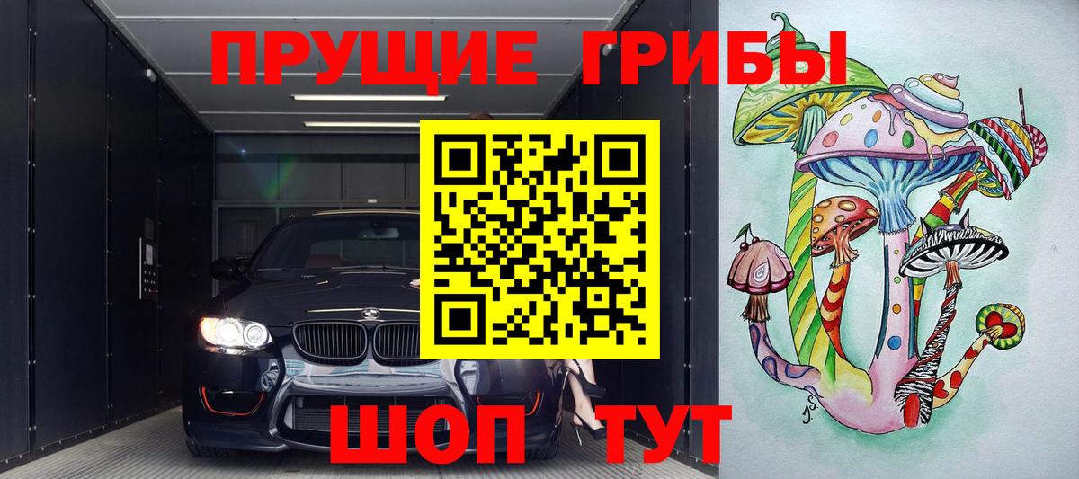 Галлюциногенные грибы ЛСД  Вход с VPN  Нефтекумск  Псилоцибиновые грибы GOLDEN TEACHER 